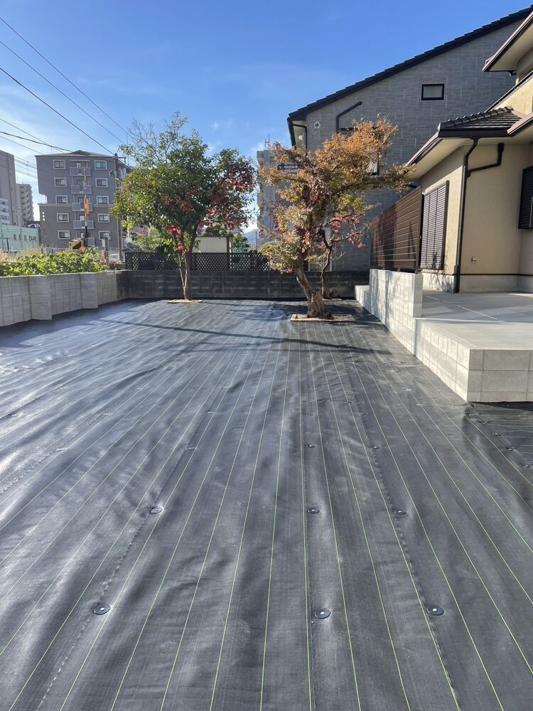 画像1555