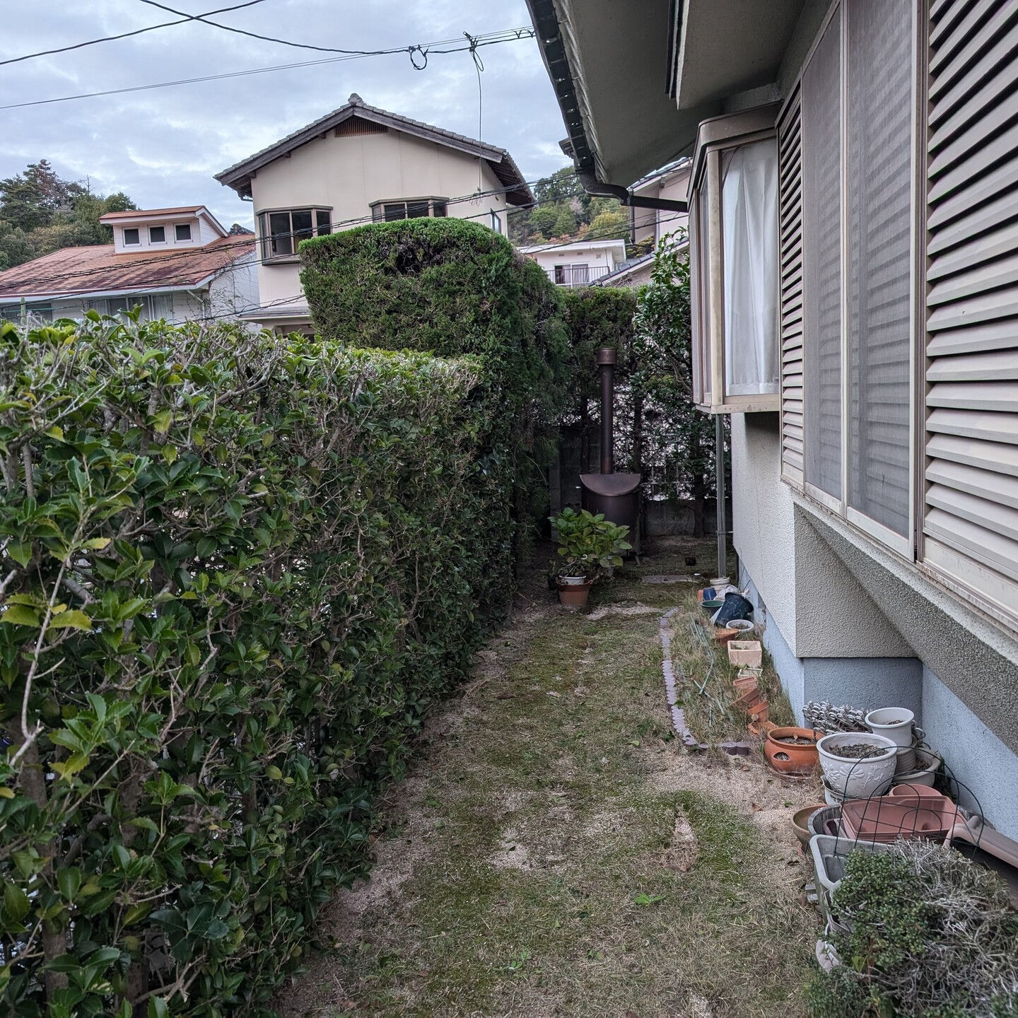 広島市佐伯区でお庭の管理にお困りの方へ🌿✨