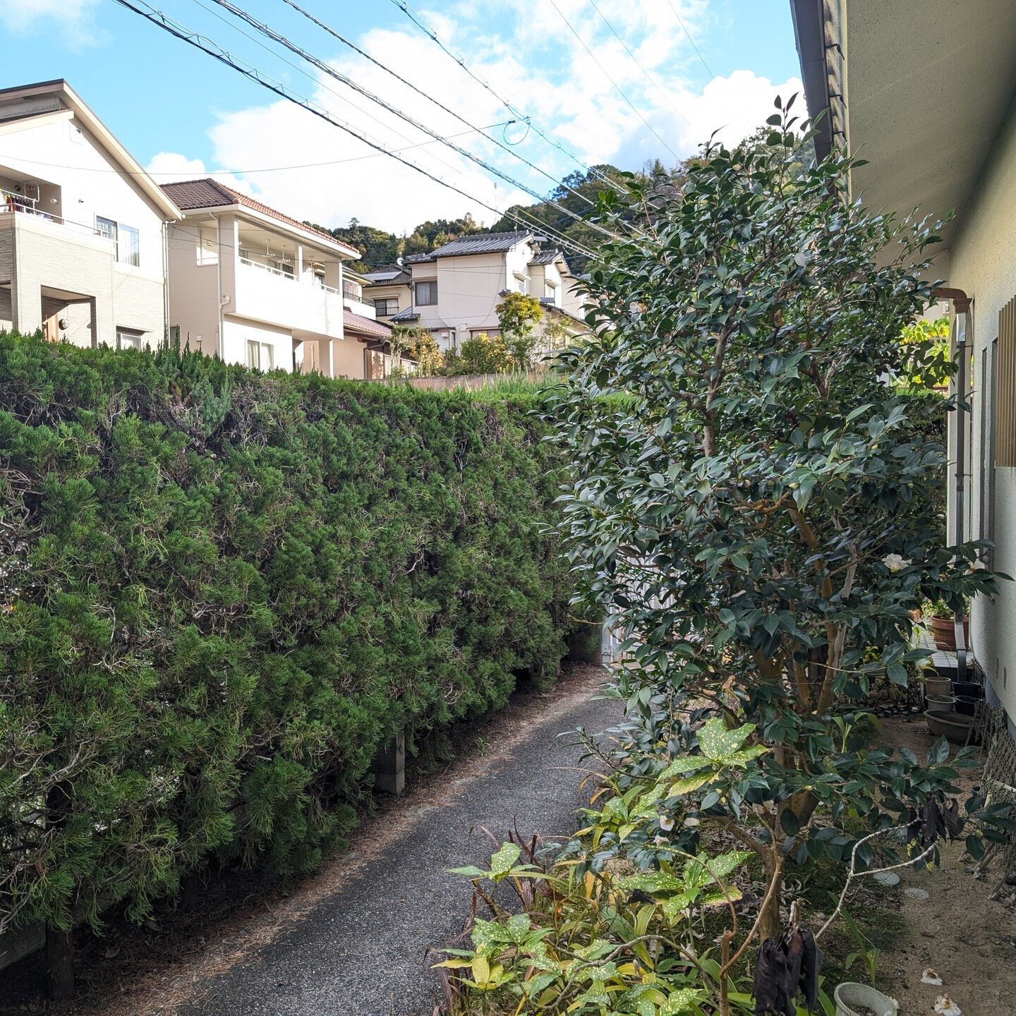 広島市佐伯区でお庭の管理にお困りの方へ🌿✨