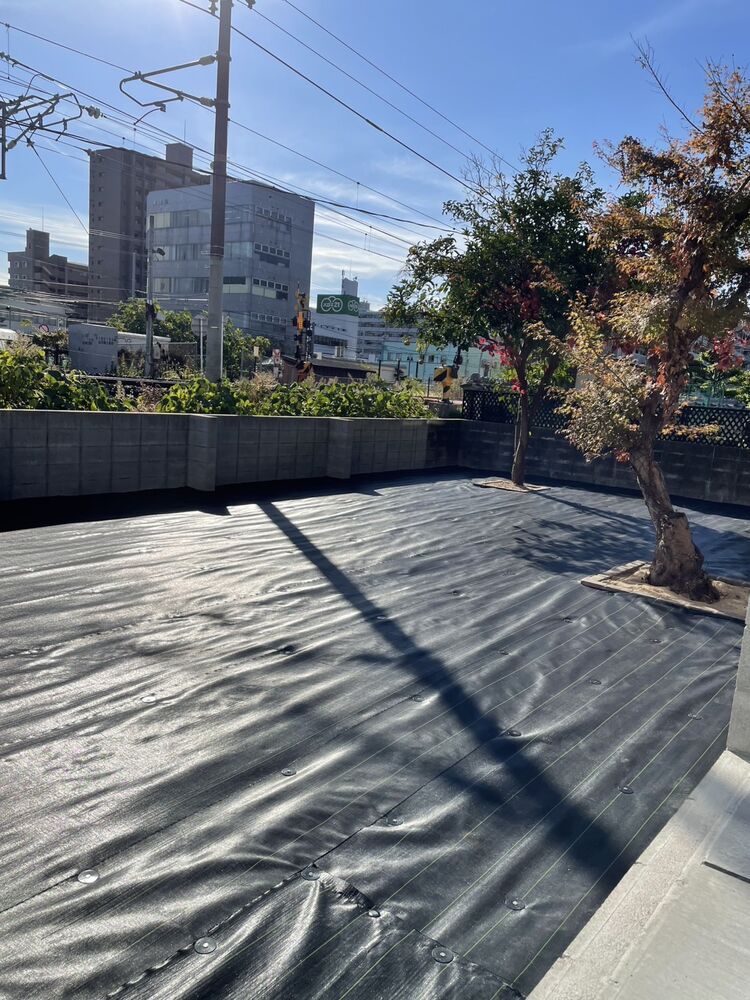 画像2345
