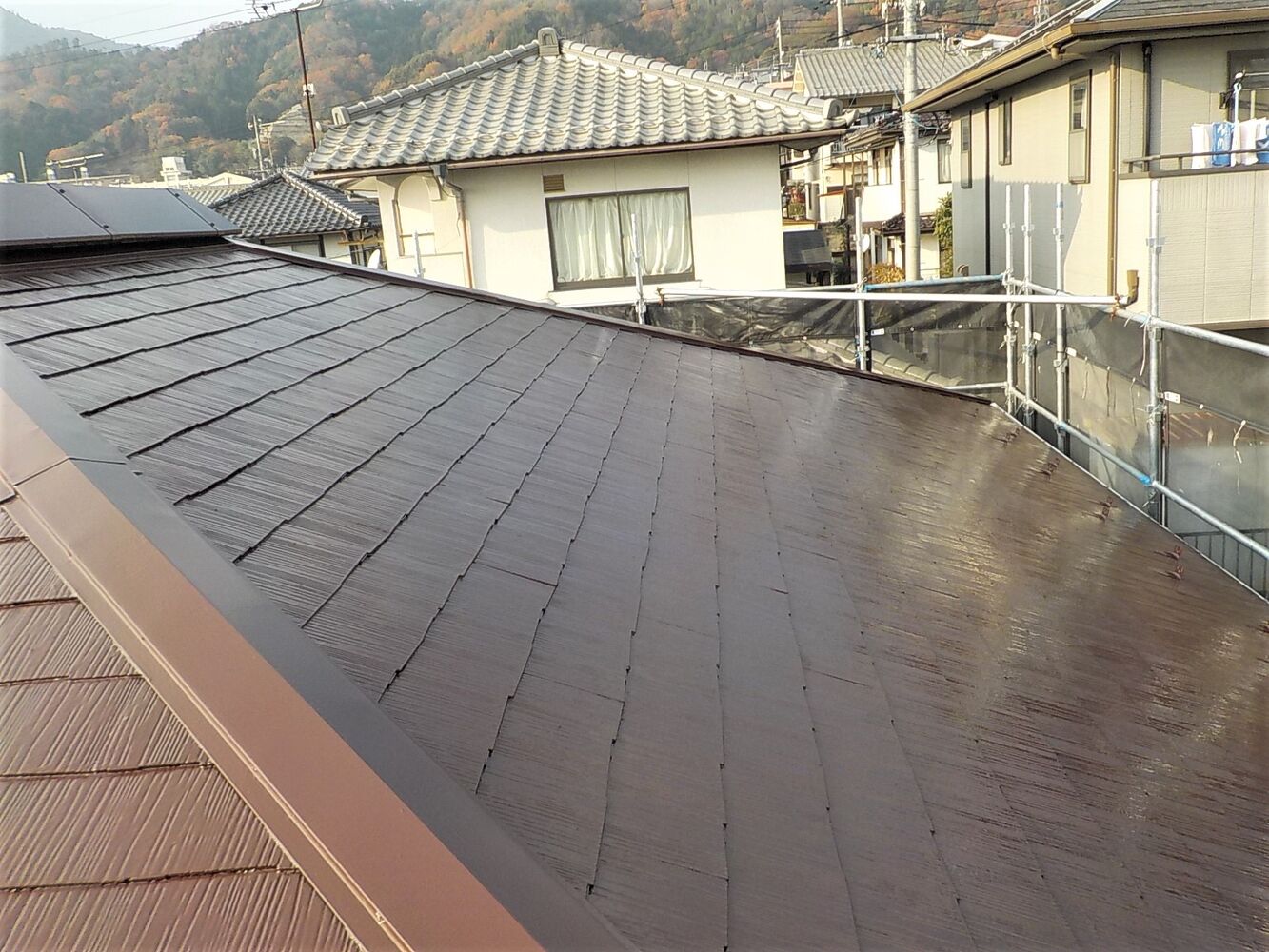 画像2858