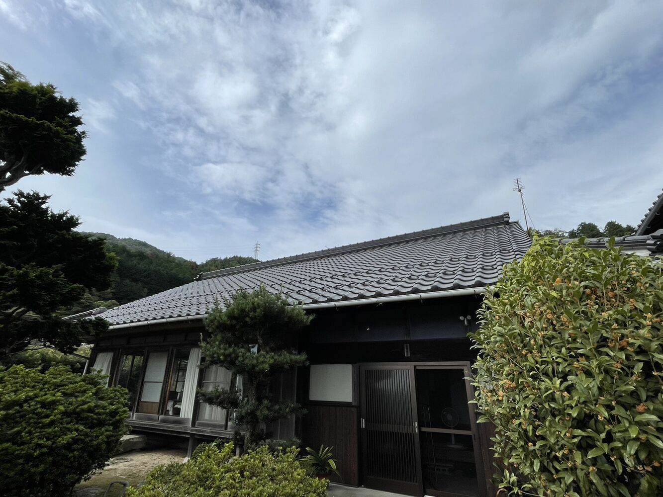 画像4086