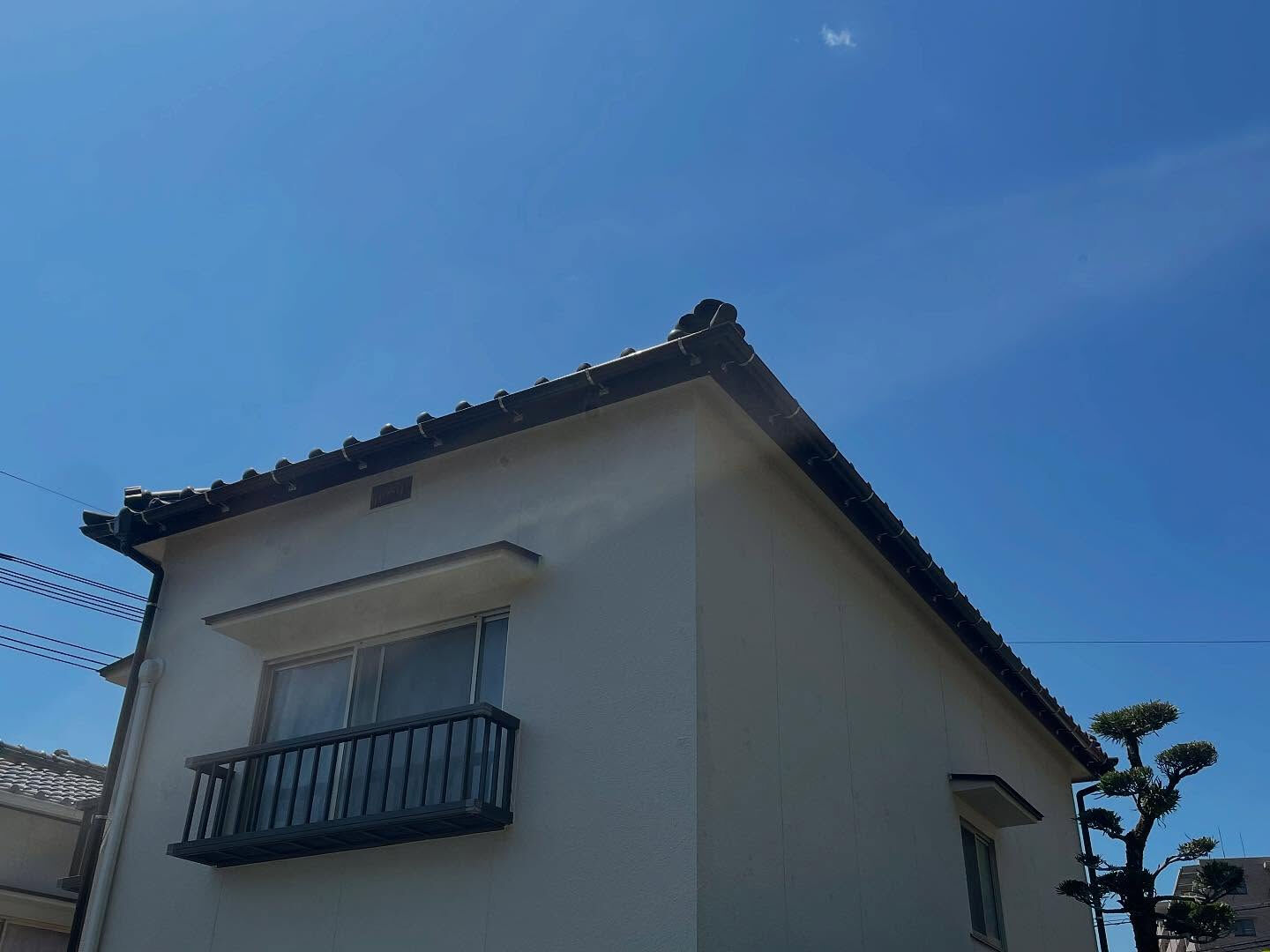 🌟 皆さん、こんにちは！